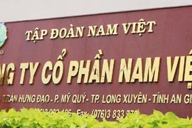 Nam Việt lên kế hoạch lãi 300 tỷ đồng, trả cổ tức bằng tiền mặt tỷ lệ 10%