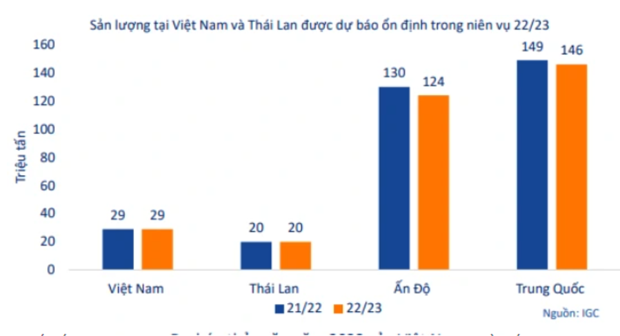 co-phieu-nganh-gao-se-but-pha-nho-huong-loi-tu-xuat-khau_649d694913697.png