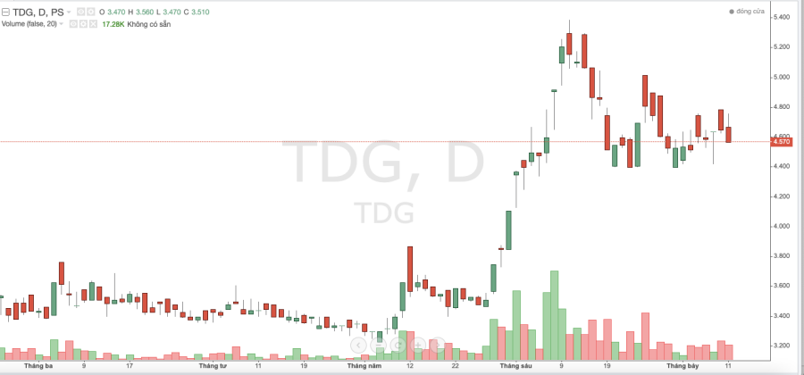 Đầu tư TDG Global