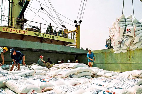 Xuất khẩu gạo sang Thổ Nhĩ Kỳ tăng đột biến gần 16.000% so cùng kỳ