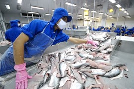 Kỳ vọng xuất khẩu thủy sản Việt Nam sang Hoa Kỳ nửa cuối năm sẽ tăng 40-50%