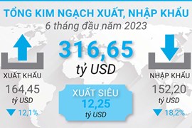 Tổng quan tình hình xuất nhập khẩu Việt Nam trong 6 tháng đầu năm 2023