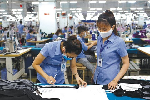 Dệt may Thành Công: Thị trường chưa hồi phục, thực hiện ESG là yếu tố sống còn của ngành dệt may Việt Nam