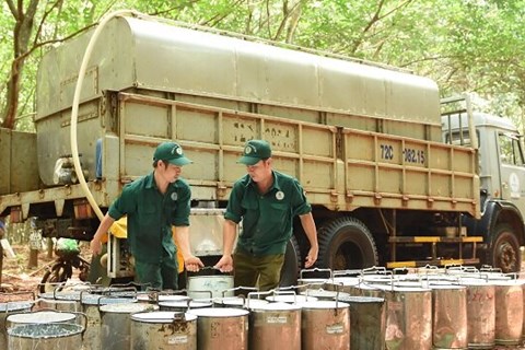 Lãi vỏn vẹn 30 tỷ đồng, Cao su Bà Rịa mới chỉ hoàn thành được 2% kế hoạch lợi nhuận trước thuế