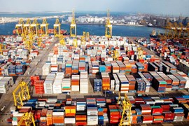Bộ Công Thương vào cuộc hỗ trợ doanh nghiệp nghi bị lừa đảo xuất khẩu sang UAE