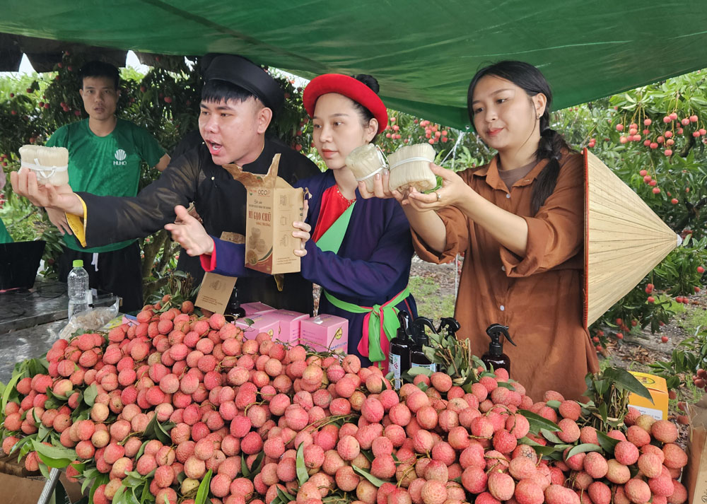 23 tấn vải thiều Bắc Giang trên TikTok