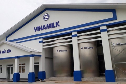 Vinamilk ước đạt 2.220 tỷ đồng lợi nhuận trong quý 2/2023