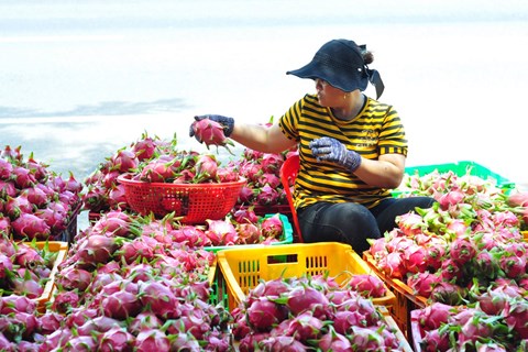 Bộ Công Thương khẳng định Trung Quốc luôn là thị trường mục tiêu trọng điểm