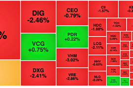 Cùng chiều cổ phiếu Vinfast, VIC và VHM bị xả mạnh