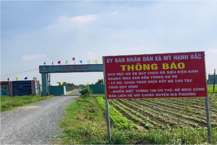 dự án