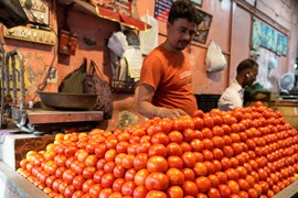 Vì sao nhiều nhà hàng Ấn Độ thẳng tay loại cà chua ra khỏi thực đơn