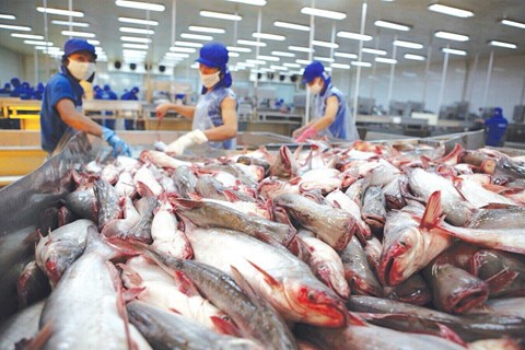 Xuất khẩu cá tra tấn công thị trường ngách