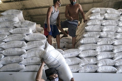 Reuters: Myanmar sẽ tạm dừng xuất khẩu gạo kể từ cuối tháng này