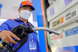 VCBS: Thị trường phân phối xăng dầu Việt Nam còn nhiều dư địa tăng trưởng