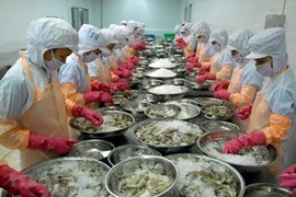 Doanh nghiệp xuất khẩu thủy sản Việt Nam tìm kiếm cơ hội tại thị trường Nhật Bản