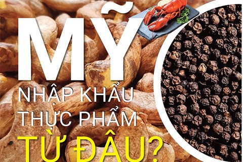 Việt Nam nằm trong các quốc gia xuất khẩu thực phẩm lớn nhất tới Mỹ