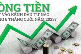 Dòng tiền chảy vào kênh đầu tư nào trong 6 tháng cuối năm 2023?