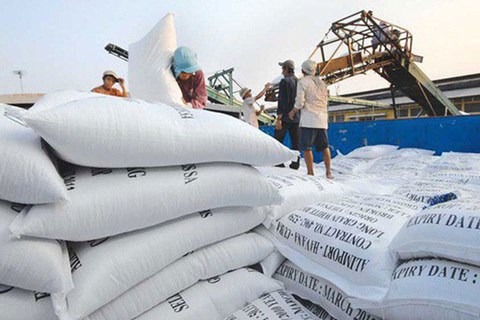 Chủ động điều tiết hoạt động xuất khẩu gạo đi đôi với đảm bảo an ninh lương thực