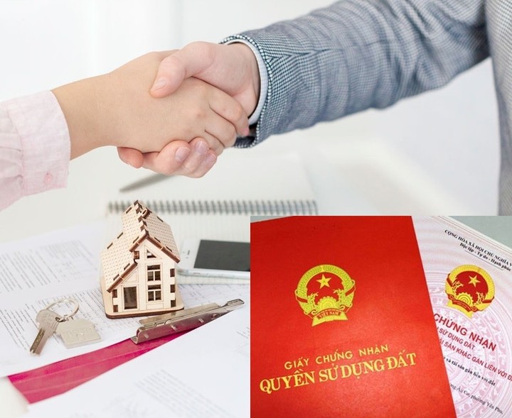 quyền sử dụng đất