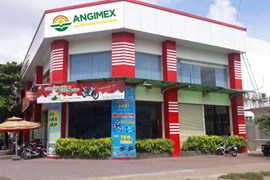 Chứng khoán APG thoái vốn thành công khỏi Angimex trước ngày cổ phiếu AGM bị đình chỉ giao dịch