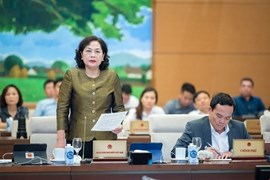 Thống đốc Nguyễn Thị Hồng: Sở hữu chéo ngân hàng vẫn còn, chưa xử lý được dứt điểm