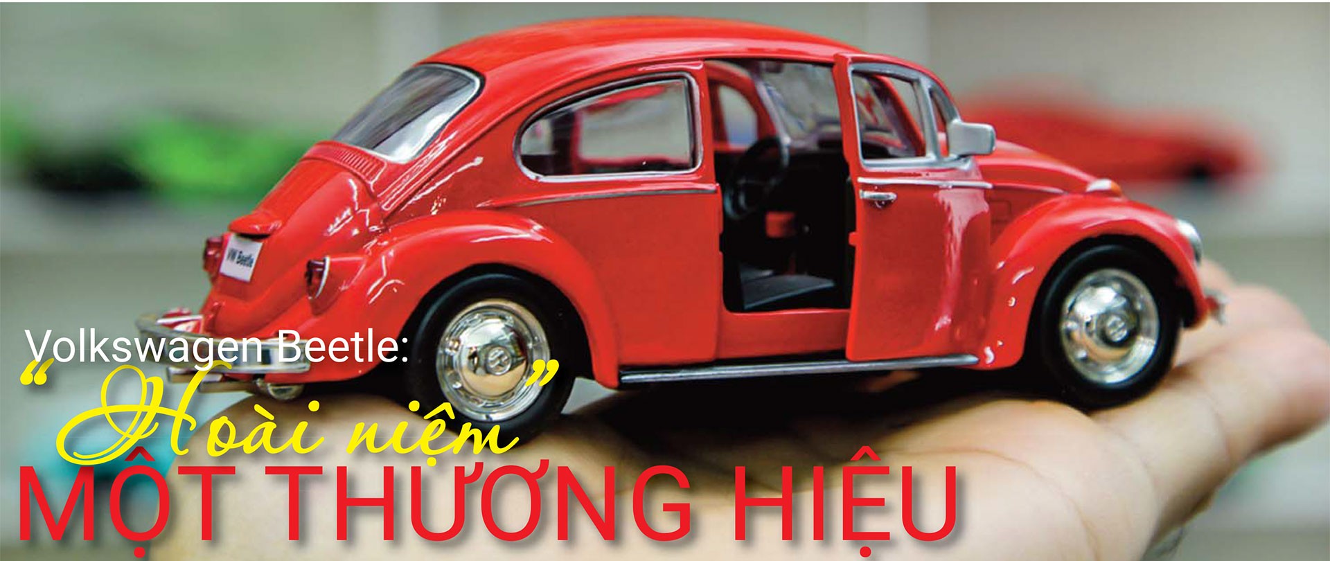 beetle-anh-chinh-3527.jpg