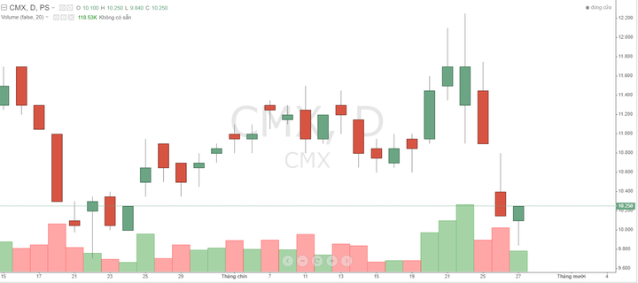 Camimex Group