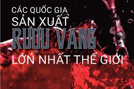 Các quốc gia sản xuất rượu vang lớn nhất thế giới